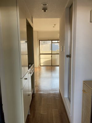 玄関あけるとこんな感じの室内です。